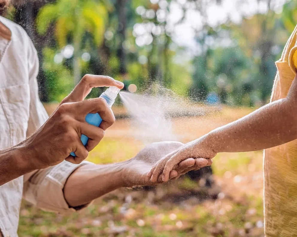 Vacaciones sin virus: ¿cómo prevenir dengue y chicungunya?