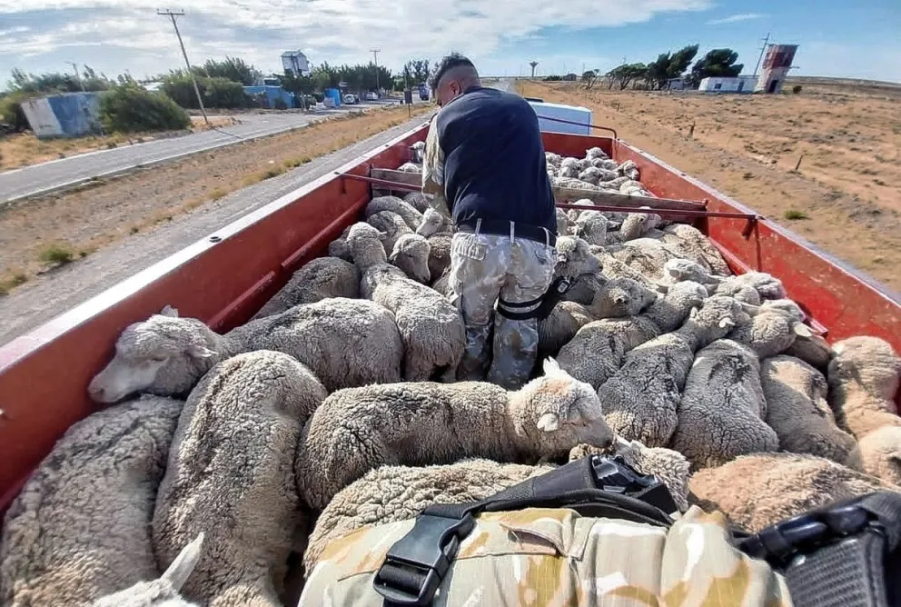 Policía realizó un exitoso operativo rural en Puerto Deseado