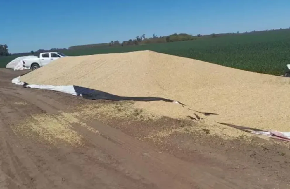 Inseguridad rural: surgen patrullas civiles de productores para reforzar los destacamentos policiales en el campo