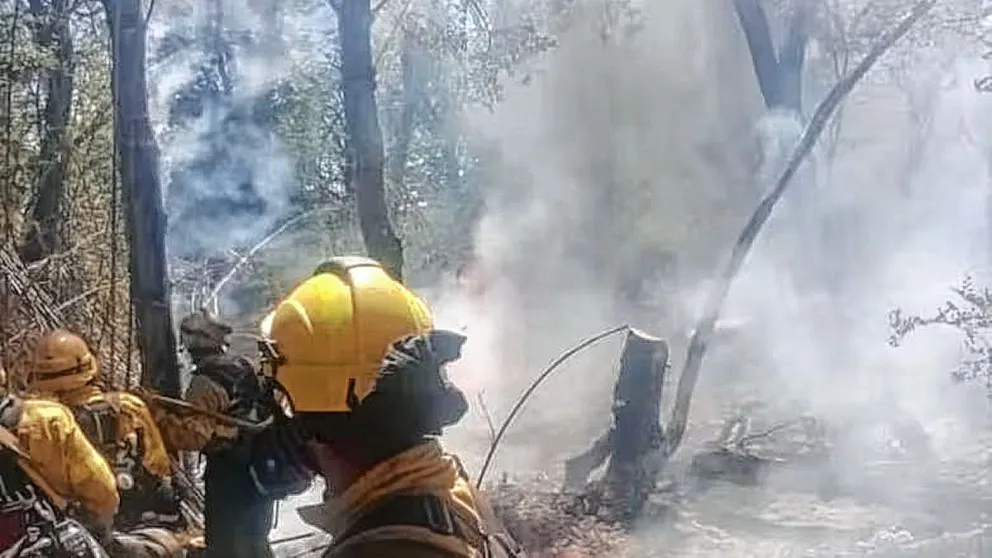 El incendio ya afectó más de mil hectáreas de bosque nativo y continúa con su avance