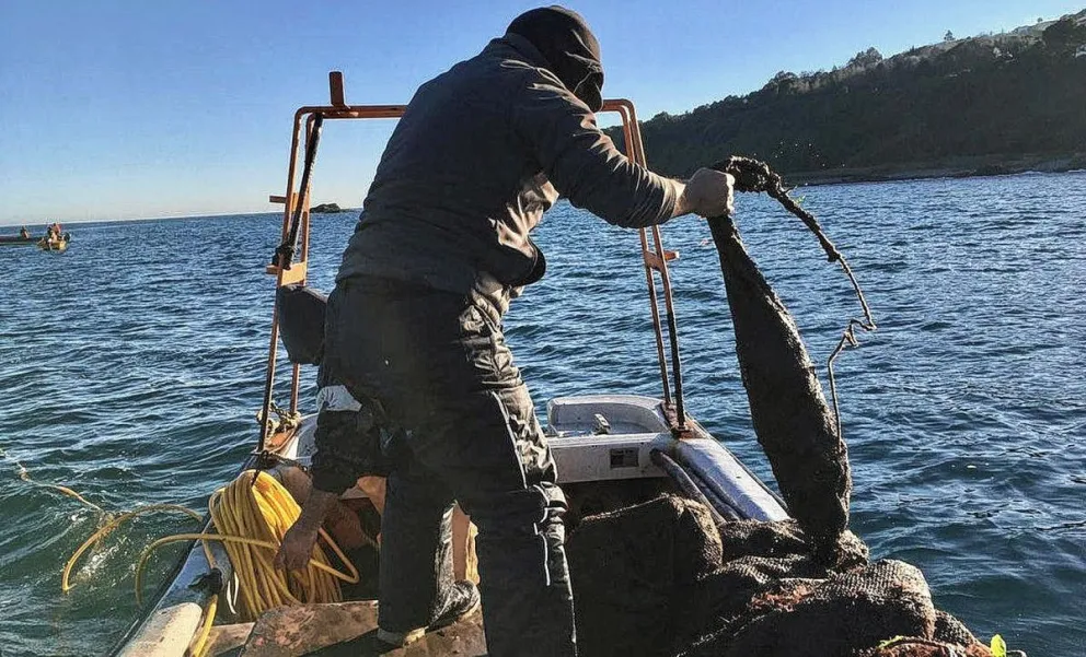 Pescadores artesanales reclaman por  la asignación de  permisos de pesca y denuncian presuntas irregularidades