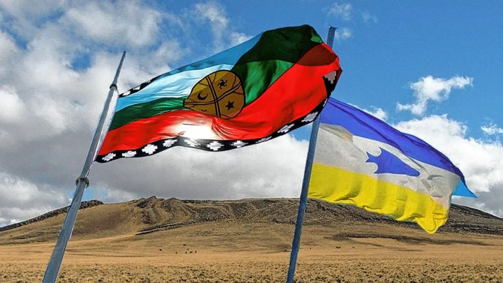 “Como mapuches sabemos que seríamos incapaces de hacer lo que dice el señor gobernador, y queremos que nuestras voces se hagan escuchar por todo lados”