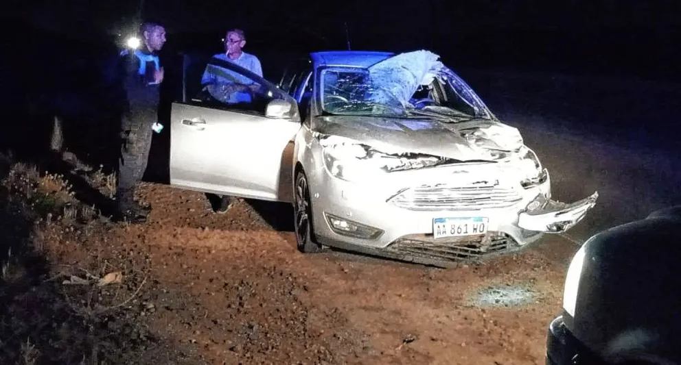 Nuevo accidente en la ruta que une Ciudadela con Diadema: un vehículo atropelló a un equino que terminó sin vida