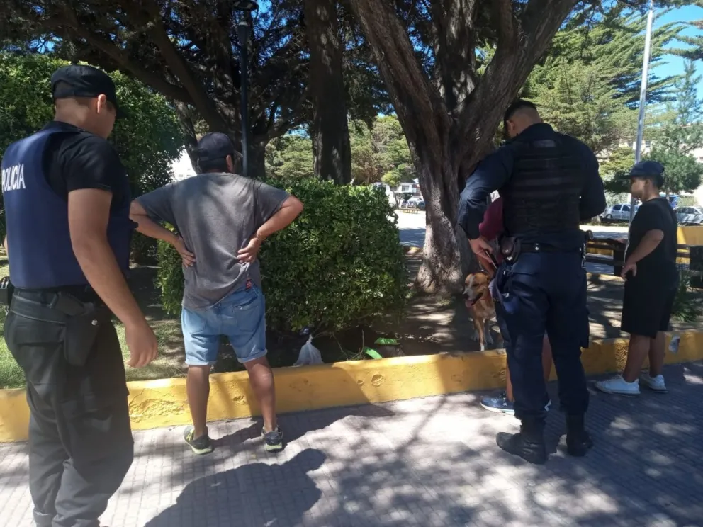 Los atraparon robando placas de bronce del monumento a San Martín