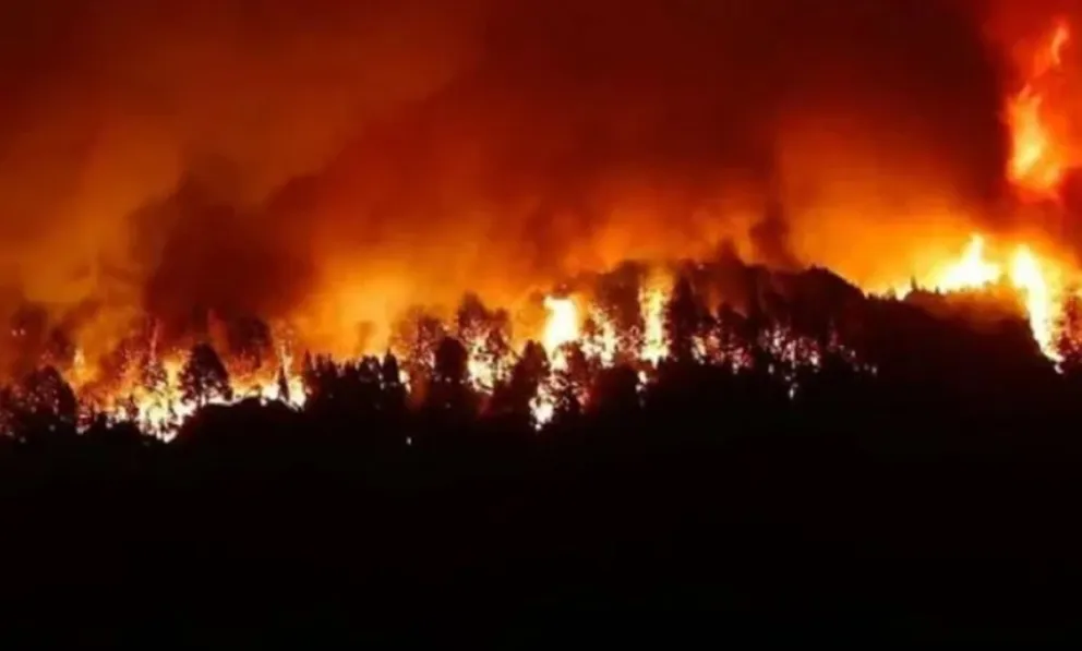 Incendio en Los Alerces: ya se quemaron más de 1.800 hectáreas