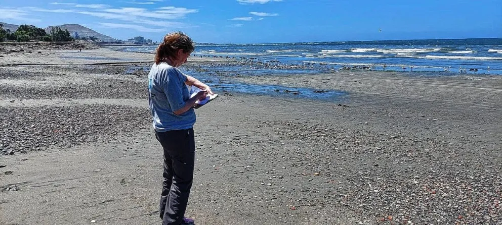 Provincia monitorea la calidad del agua y la presencia de residuos en diferentes playas