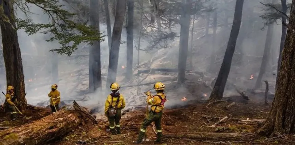 Chubut: el fuego ya consumió más de 2.000 hectáreas y el gobernador acusó a la RAM