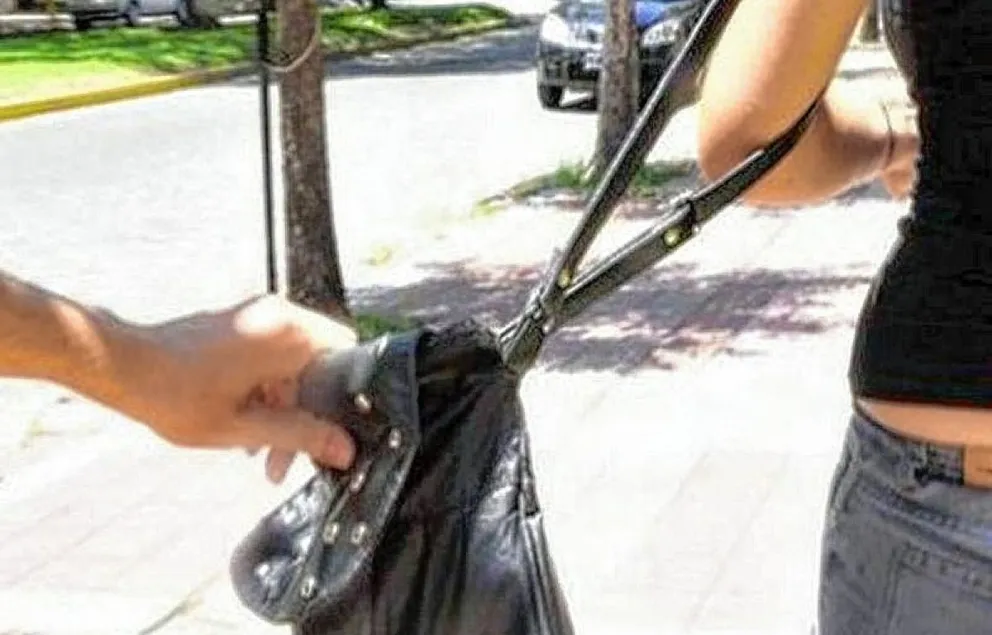 Le roban la billetera con el documento, las tarjetas y dinero a auxiliar docente en violento arrebato en el centro de Trelew