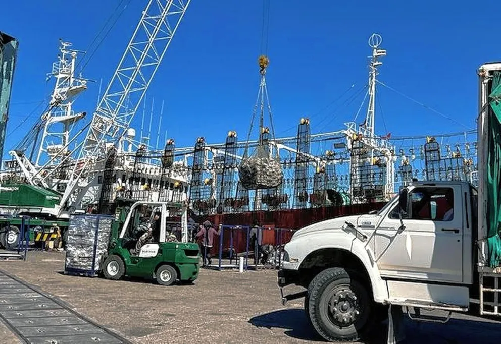 Estibadores y transportistas viven el primer “veranito” de la temporada con la masiva llegada de los poteros