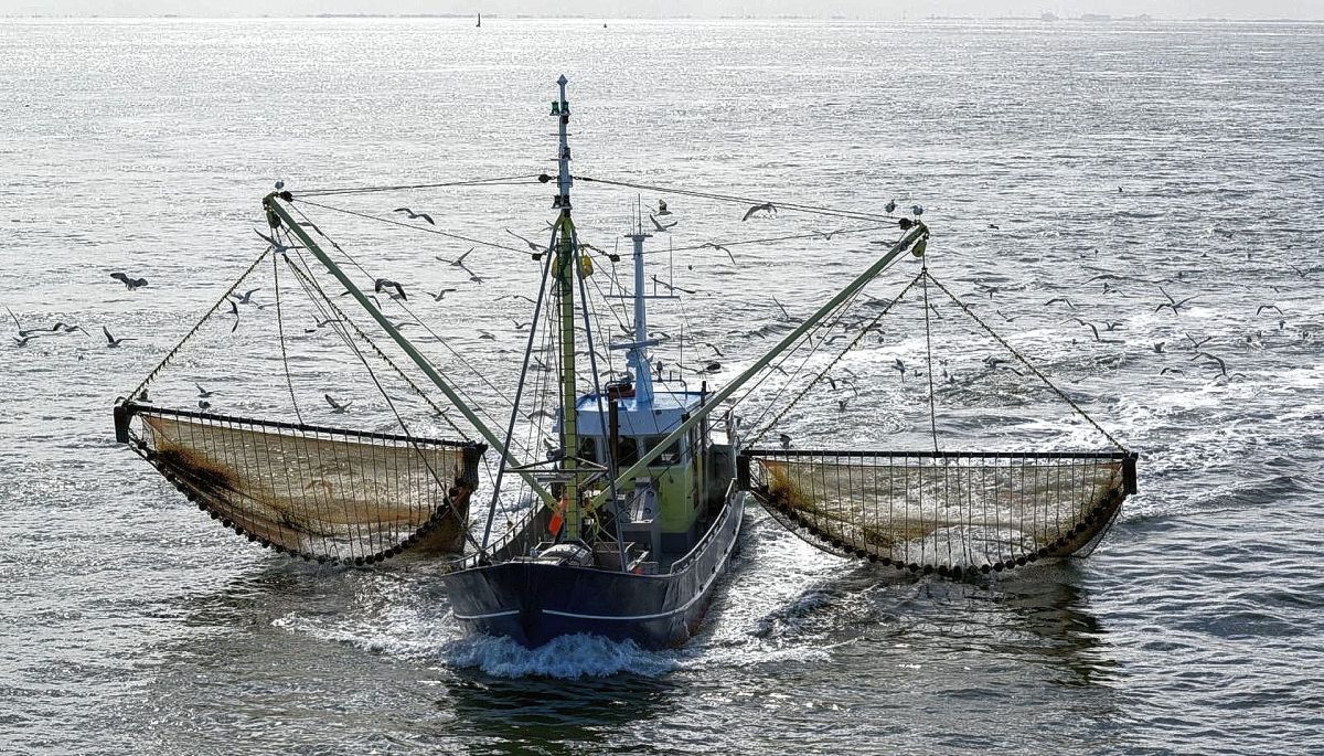 Nuevo estudio científico reveló una alarmante conexión  entre la pesca de arrastre y el cambio climático