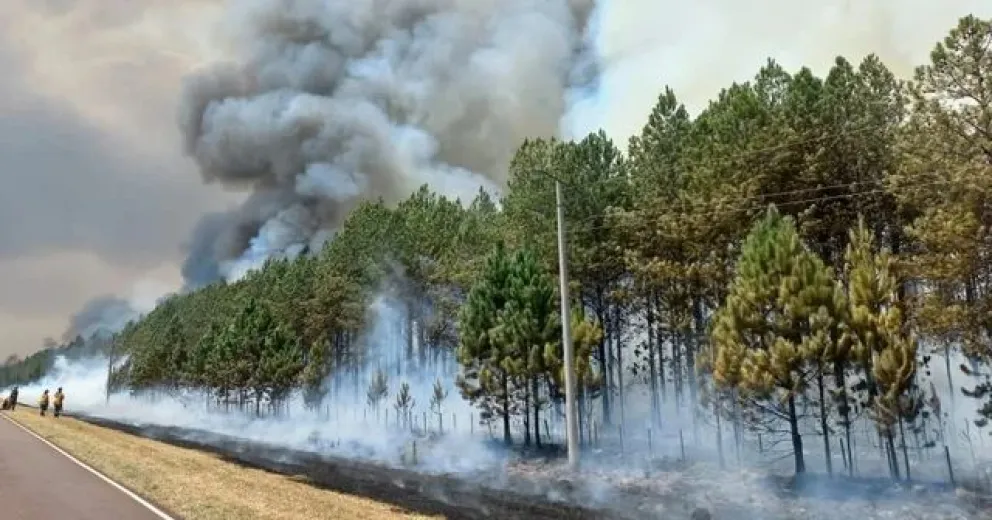 El viento, decisivo para mantener el fuego fuera de control en el Parque Los Alerces