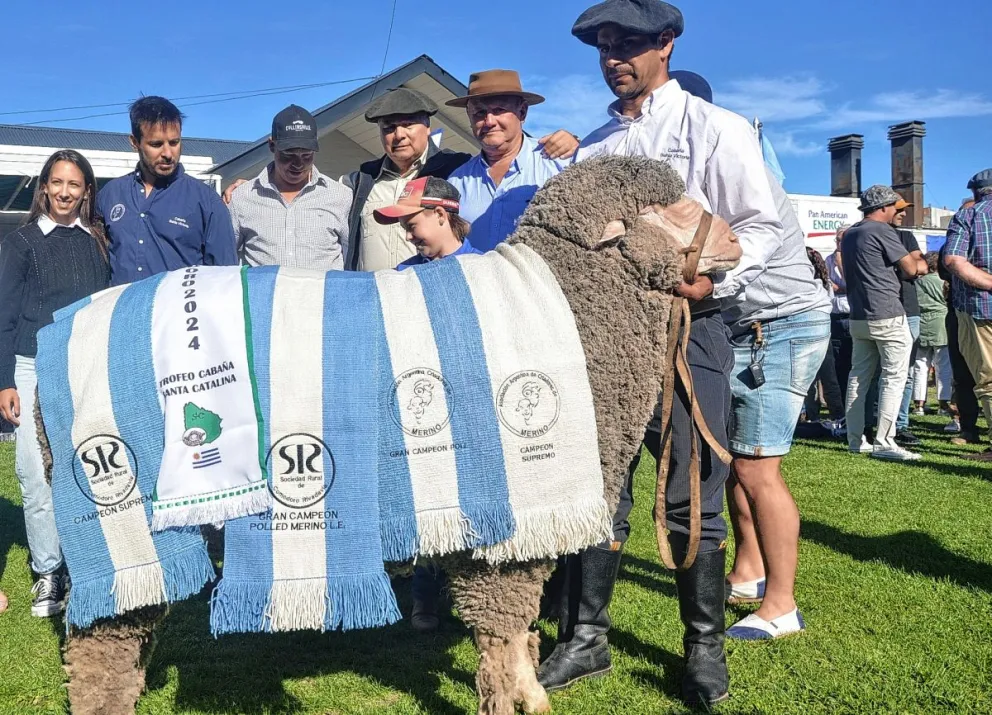 Expo Rural: El Campeón Supremo de este  año pertenece a la Cabaña Bahía Victoria