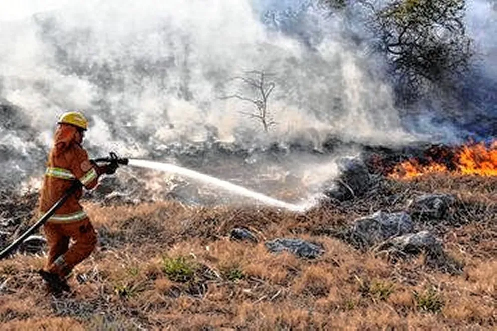 Esquel declaró la emergencia ígnea por incendios en Parque Los Alerces