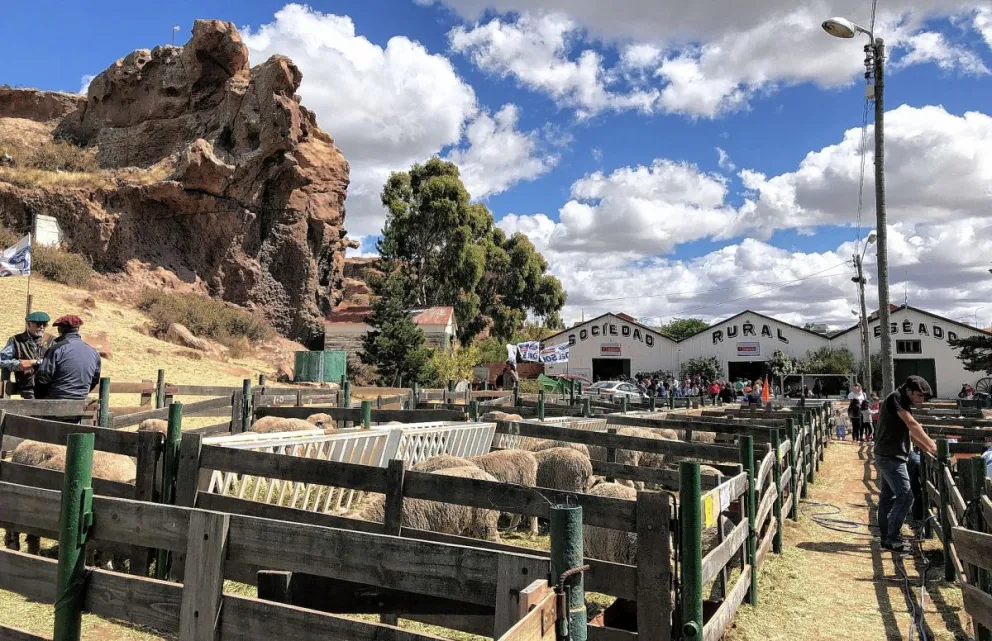Arranca una nueva edición de la Exposición y  Feria Ganadera de la Rural de Puerto Deseado