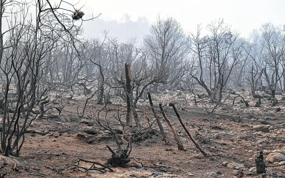 El Gobierno tendría “identificado” a un sector sospechoso por los incendios