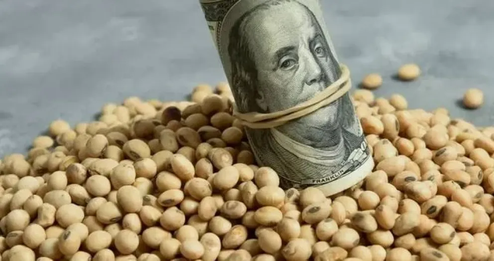 Nació el índice Dólar Exportación: a cuánto cotizó en su debut