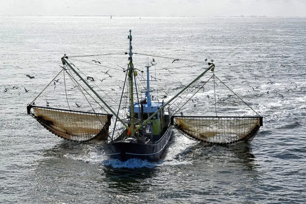 Nuevo estudio científico reveló una alarmante conexión entre la pesca de arrastre y el cambio climático