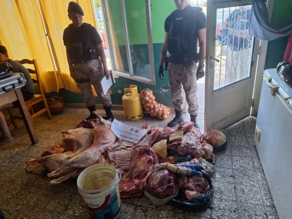 Detectaron una "carnicería clandestina" en Sarmiento