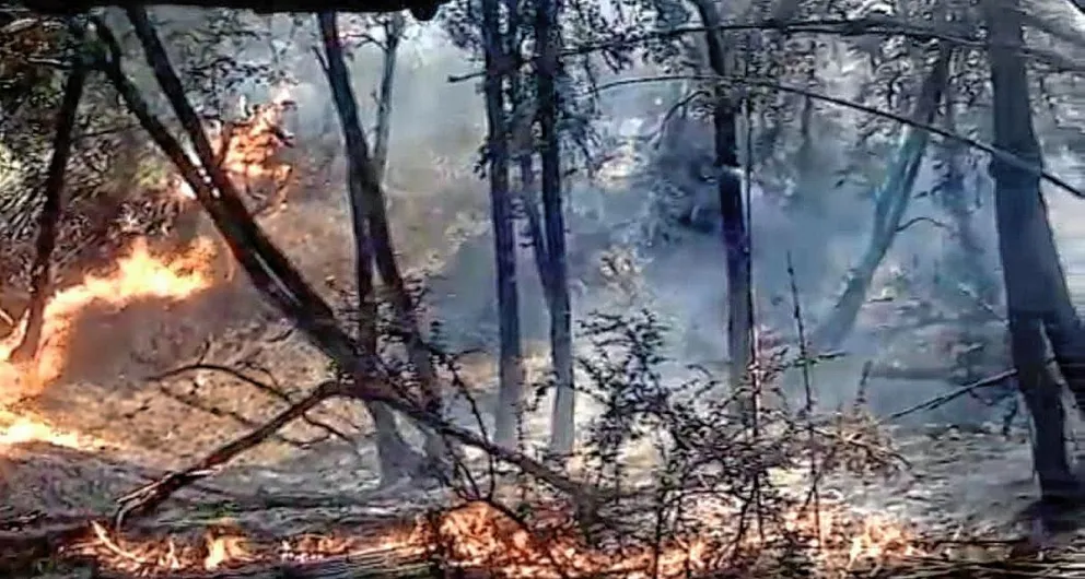 Se mantiene la lucha contra el incendio de bosques y se espera tormenta eléctrica