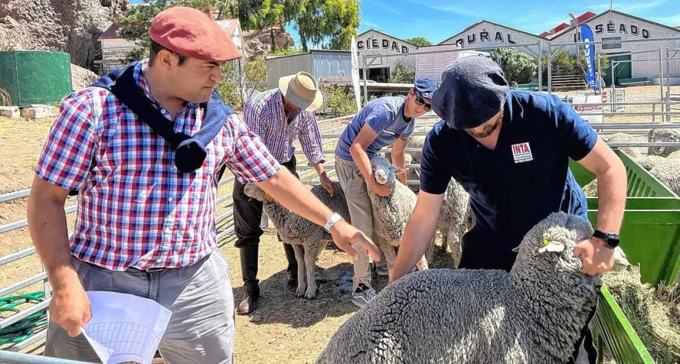 “Hoy las estancias se vacían o se abandonan, el inconsciente colectivo ya no apunta a poblar y producir los campos de Santa Cruz”, dijo De Ferrari