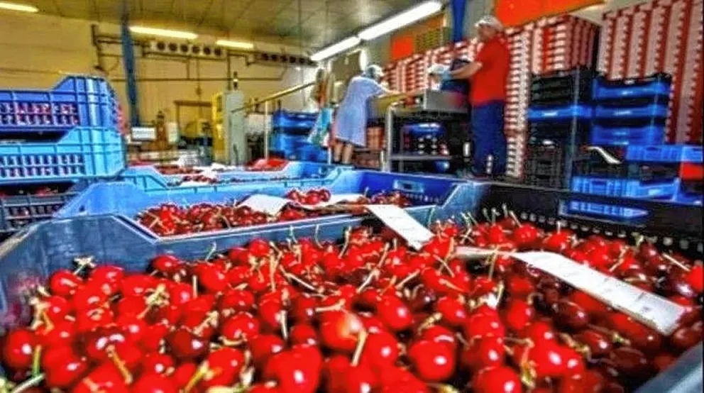 Empresarios de Chubut le pidieron al Gobierno nacional equiparar los costos de producción