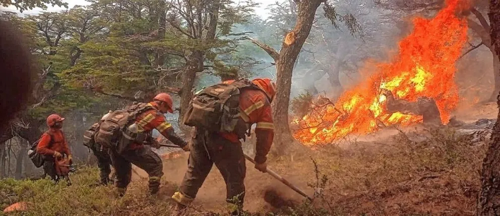 Irregular avance del fuego en el terrible incendio del Parque Nacional Los Alerces