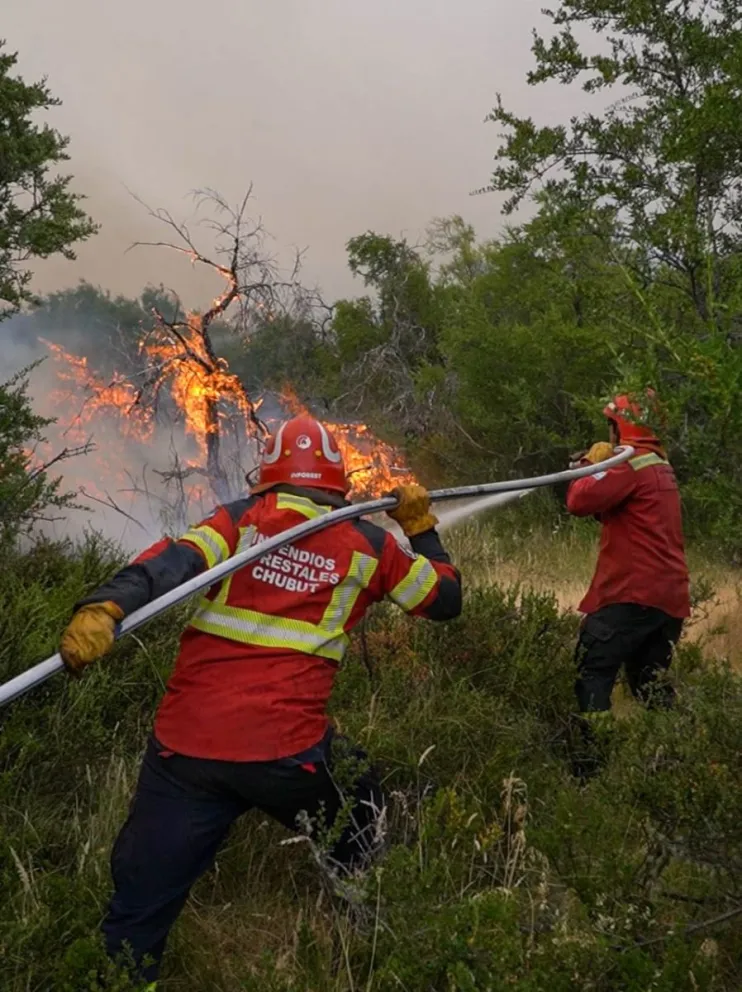 Tras varios días de intensos operativos, lograron controlar el incendio en “Los Alerces”