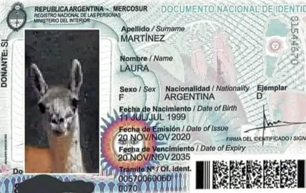 Creatividad e ingenio para salirle al cruce a “la Pato” en las redes