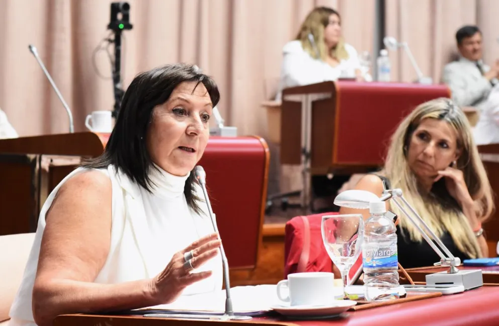 Por primera vez, la Legislatura del Chubut homenajeará a mujeres de Comunas Rurales