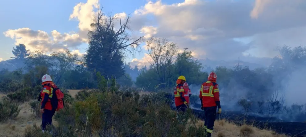 Se desató un incendio forestal en la zona de Los Cipreses, pero fue controlado