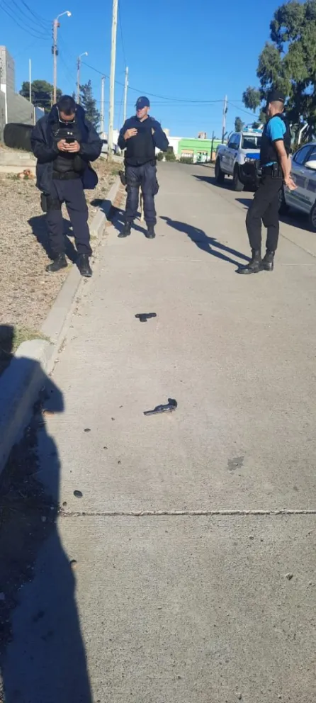 Encontraron dos armas de fuego 