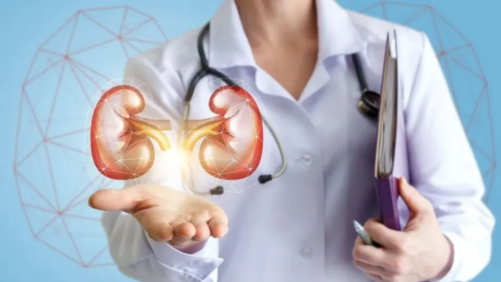 Día Mundial del Riñón: las 8 reglas de oro para cuidar la salud renal