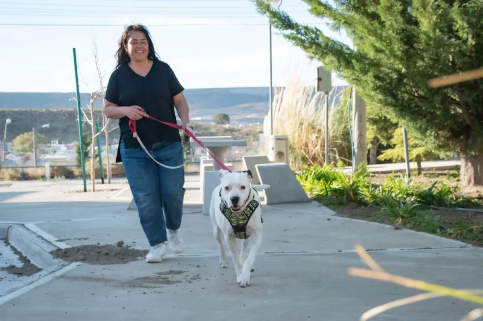 Nueva jornada de esterilización gratuita de perros y gatos este sábado en Rada Tilly