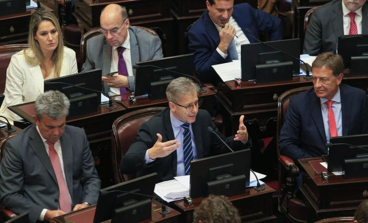 El Senado rechazó el DNU de Milei: irá a Diputados y allí se definirá su futuro