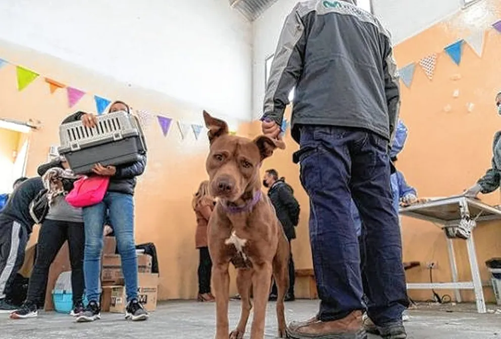 Desde hoy el Trailer de Esterilización estará en barrio San Cayetano