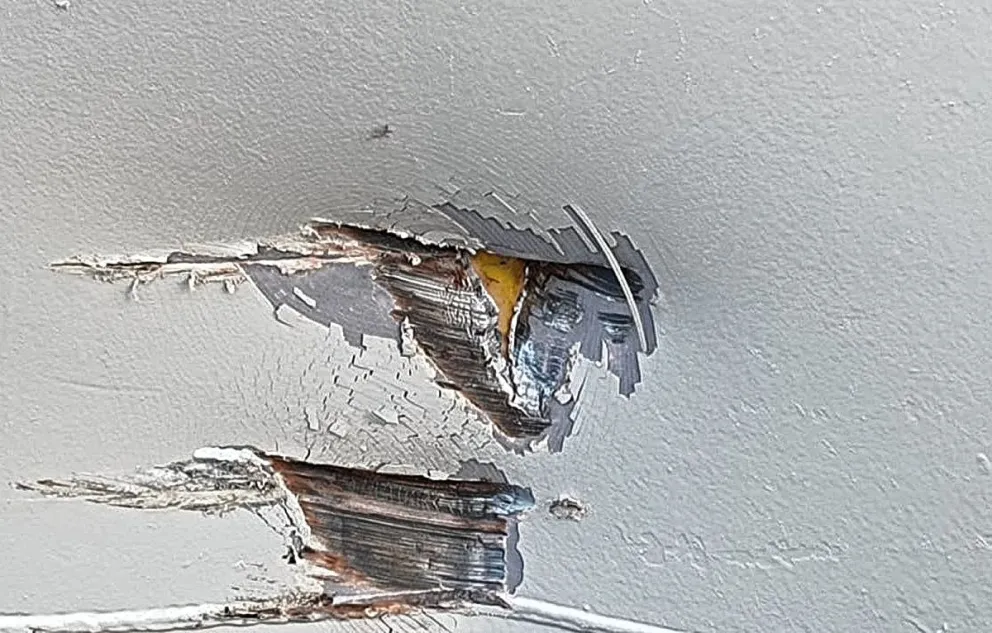 Puerto Deseado: Una avería en el casco demoró la zarpada del primer crucero del año