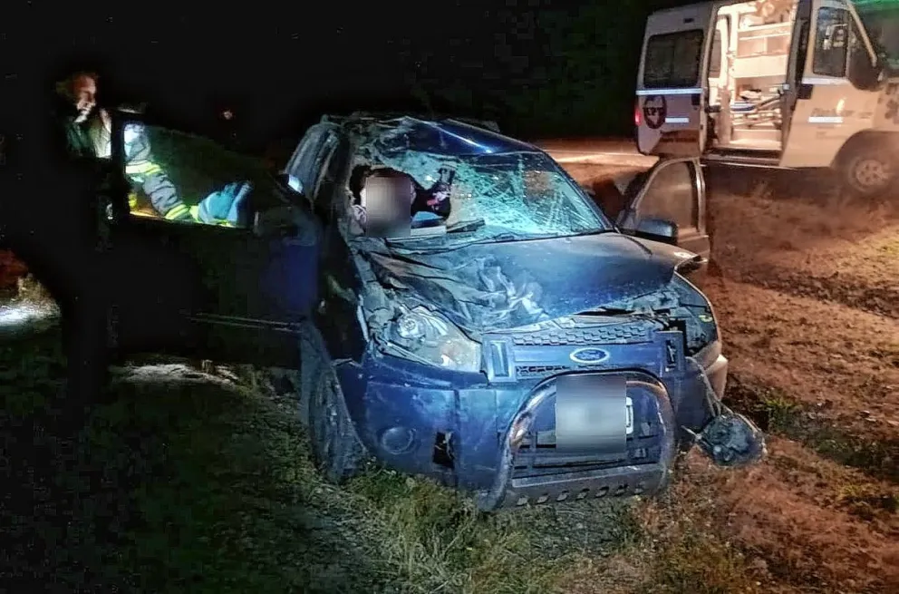 Pareja que viajaba a Deseado se salvó de milagro tras chocar su auto con un caballo en la Ruta 281