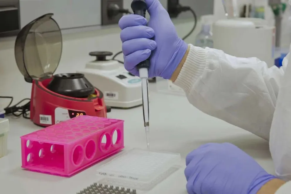 La toxina del veneno de serpiente de cascabel induce a células a combatir el cáncer