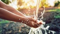 “Agua para la paz”: Se celebra hoy el Día Mundial del Agua