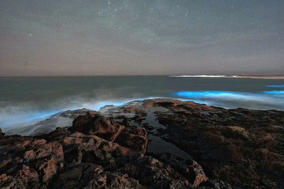 Bioluminiscencia, es uno de los espectáculos más hermosos de la naturaleza y se puede ver en las playas de Camarones