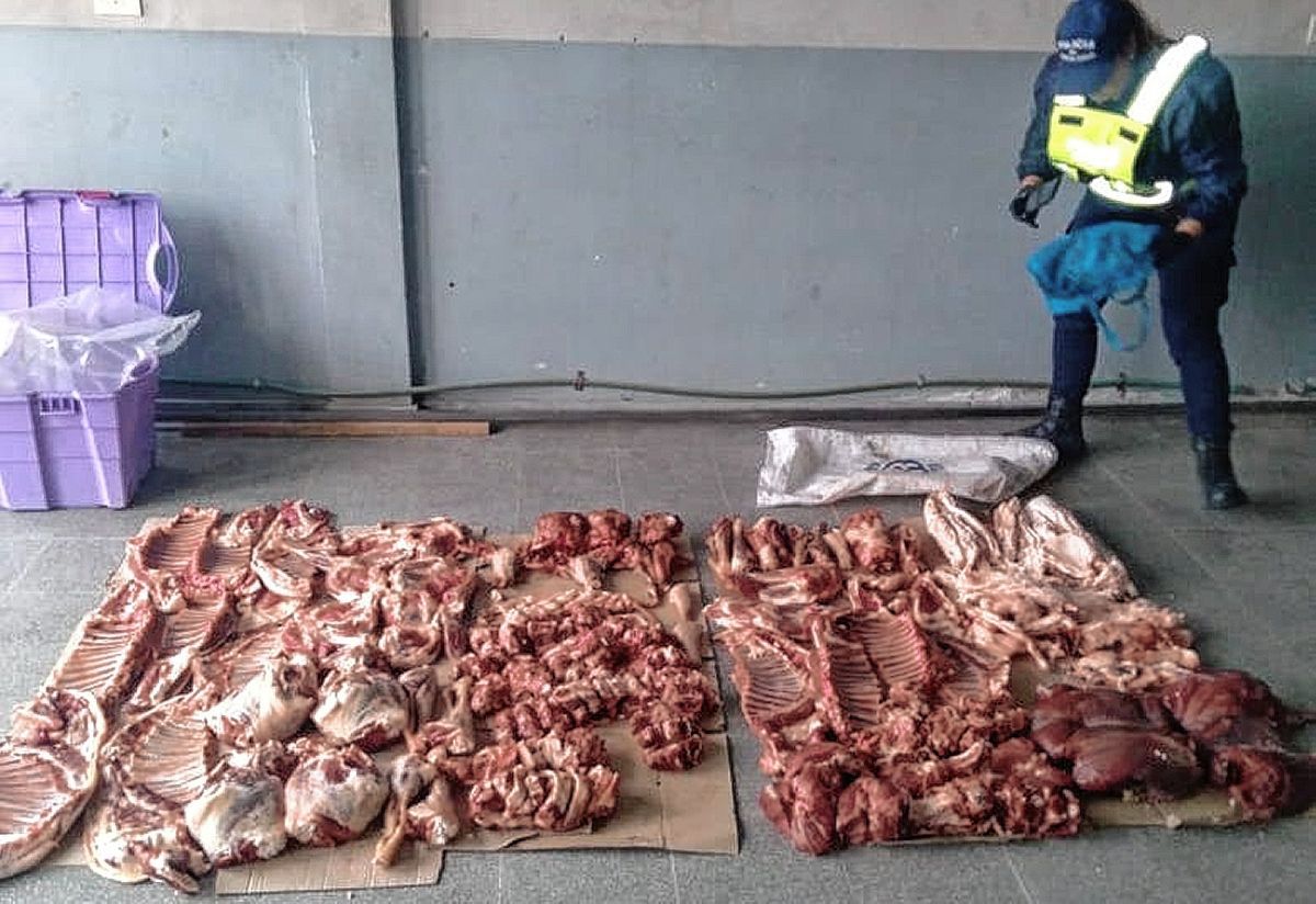 Presunto caso de abigeato: Dos detenidos y secuestro de carnes ovina y de guanaco faenadas