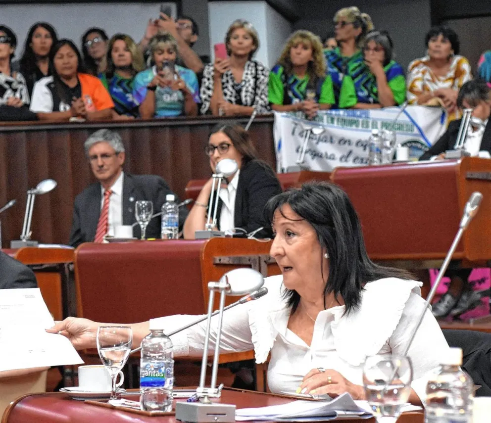 El Newcom se declaró de interés provincial en la Legislatura