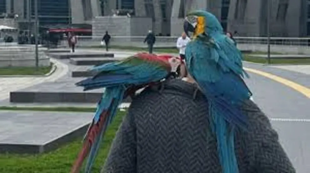 Se enteró que su esposa le era infiel gracias a sus loros
