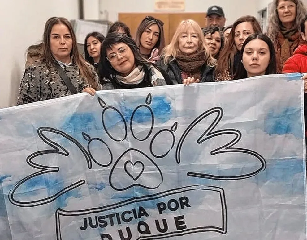 En mayo se conocerá si se eleva a juicio la causa  de Duque, el perro dogo que murió por desnutrición