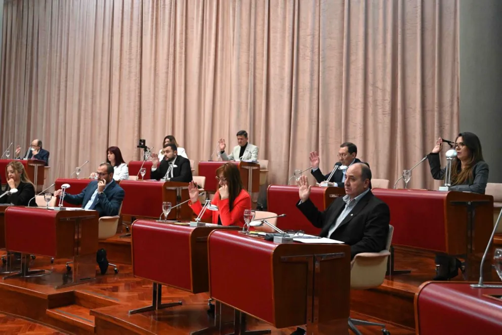 La Legislatura del Chubut aprobó la ampliación de la Ficha Limpia a las condenas penales por todo tipo de delito