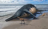 Encontraron fósiles de un gigantesco reptil marino