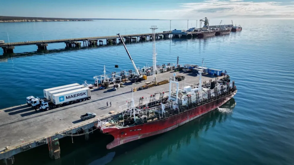 Los puertos de Chubut continúan con excelentes descargas pesqueras de calamar