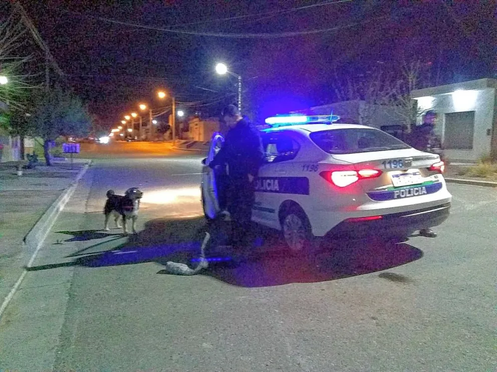 Se propasó con una joven y el padre le baleó las piernas: es un condenado que debía estar en la cárcel