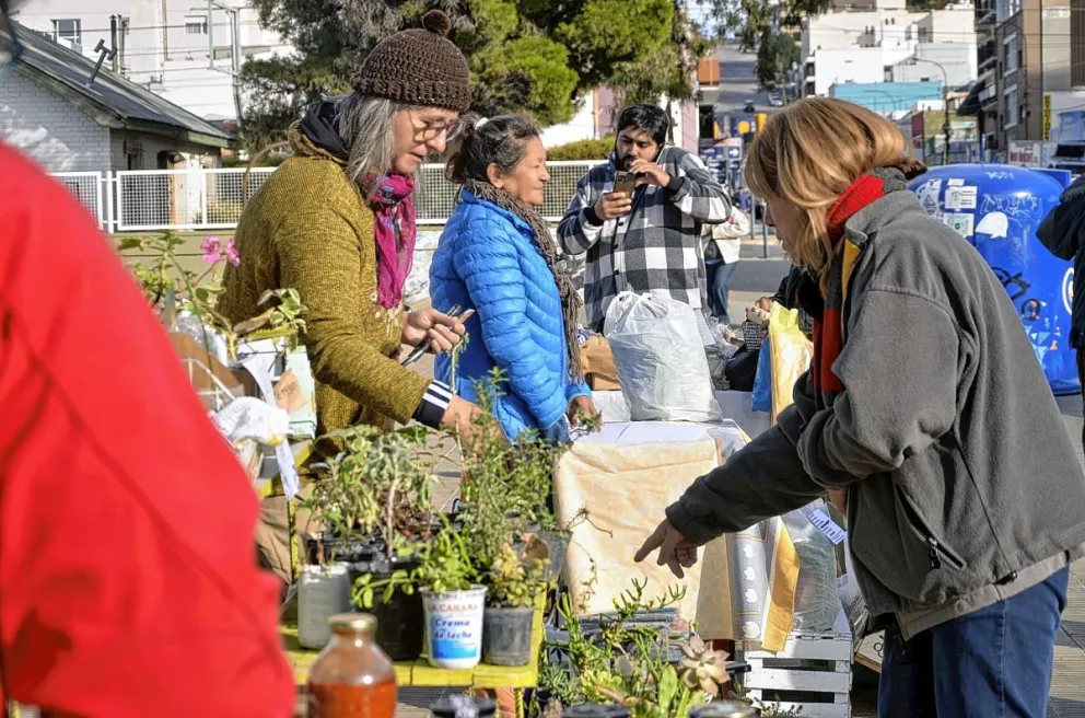 Productores locales realizaron una feria en defensa del programa ProHuerta