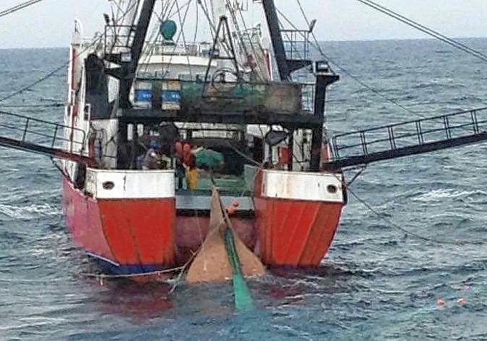 Santa Cruz: Cámaras piden prospección del langostino para el 19 de mayo
